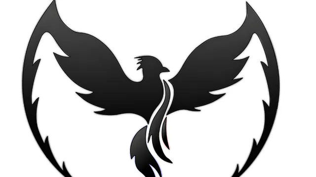 Raybirds