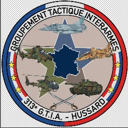 313e Groupement Tactique InterArmes - Hussard (GTIA)